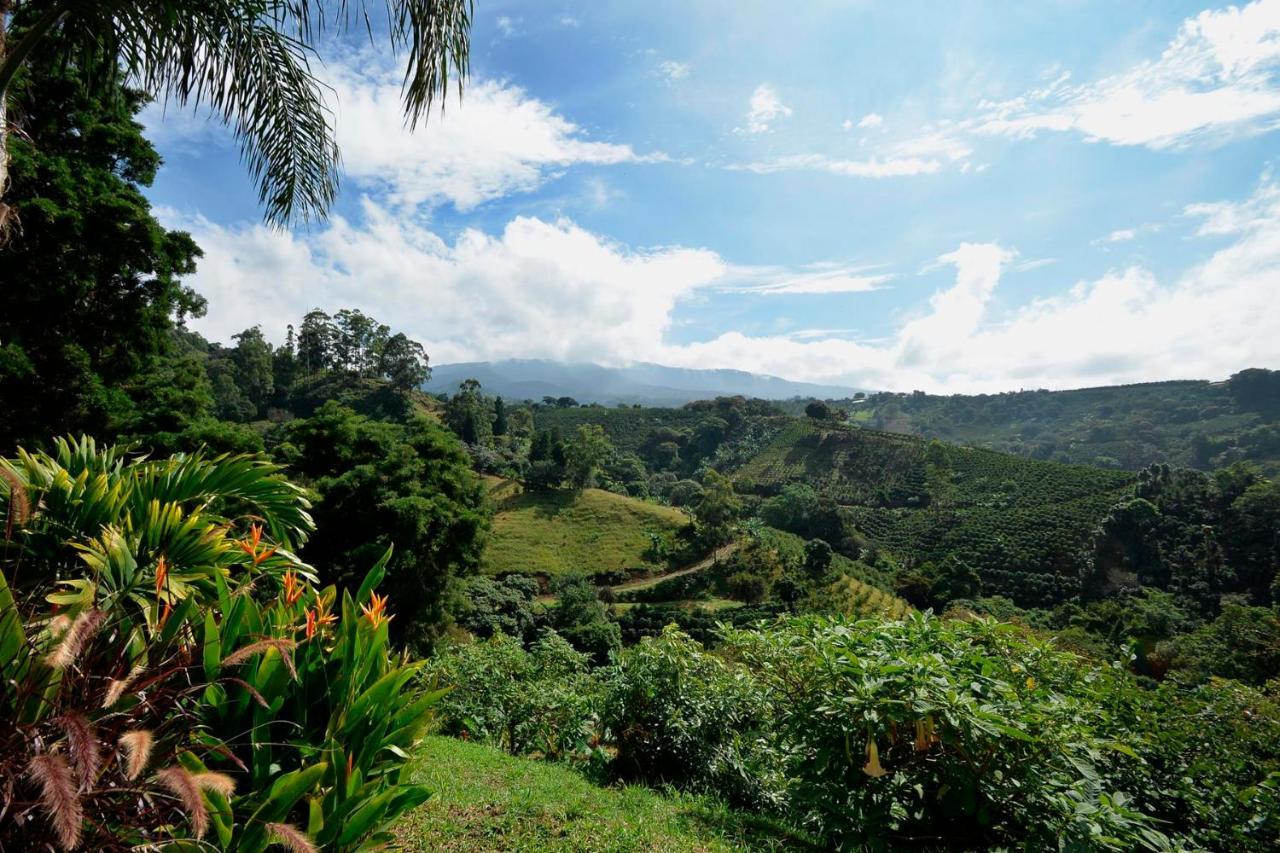 グレシアSupercostaricaアパートメント エクステリア 写真
